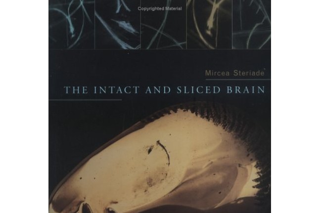 The Intact and Sliced Brain