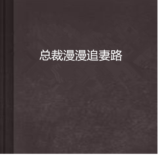 總裁漫漫追妻路(山丹小說作品)