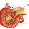 胰腺纖維化