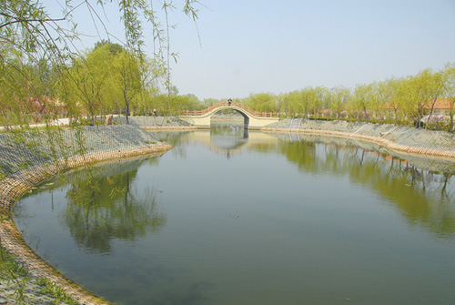 上泊村(山東即墨市移風店鎮轄村)