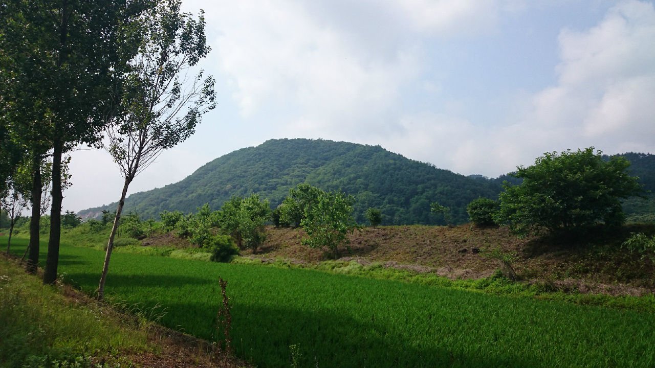 山城山