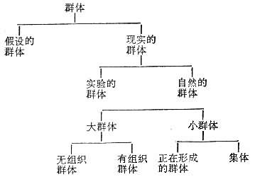 群體理論