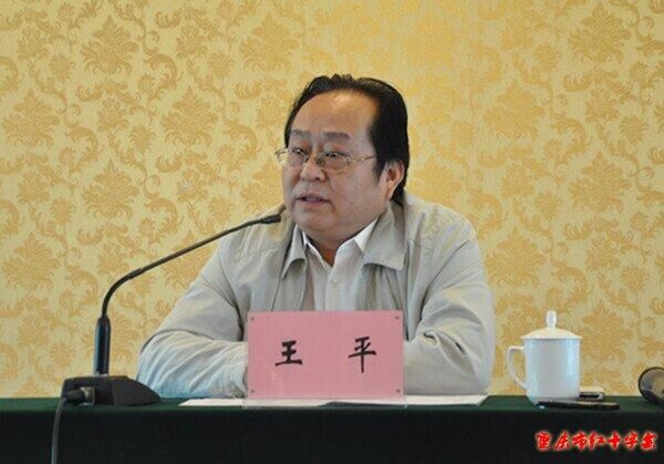 王平(中國紅十字會副會長、秘書長)