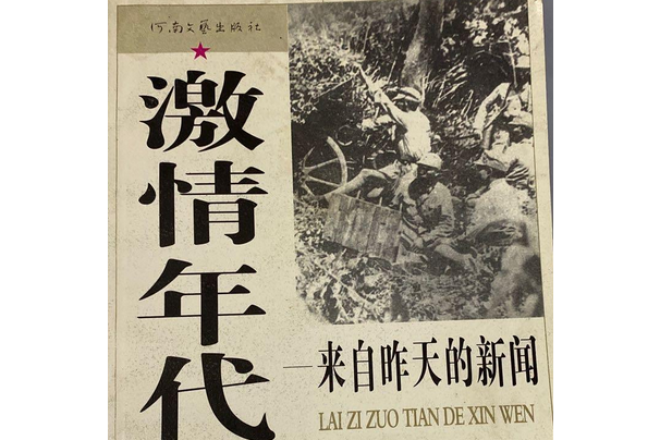 激情年代(2005年河南文藝出版社出版的圖書)