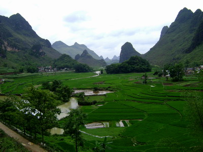 東關鄉風景