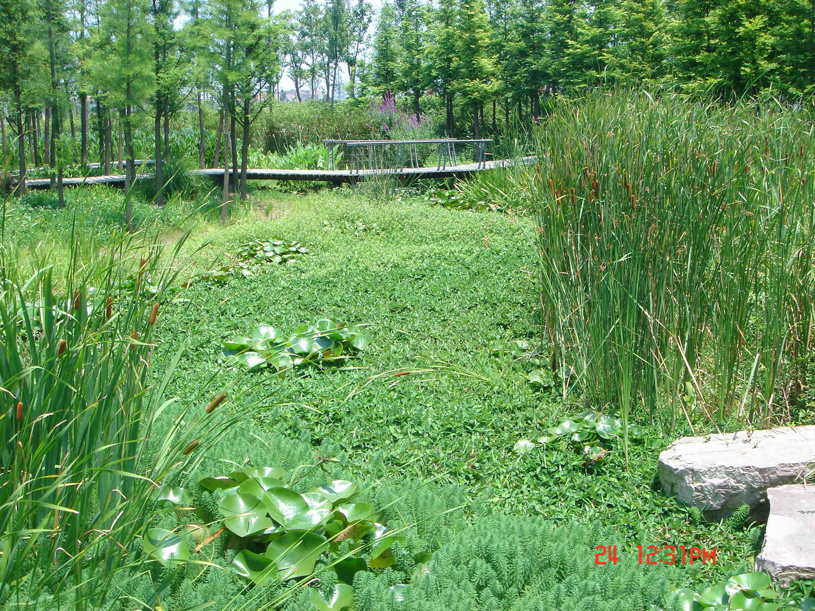 寧波日湖(日湖公園)