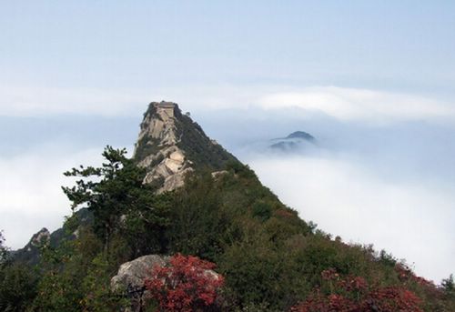 嘉午台岱頂雲海