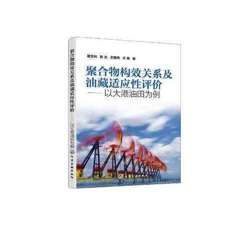 聚合物構效關係及油藏適應性評價——以大港油田為例