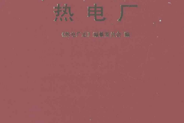 萊鋼志熱電廠(1998~2005)