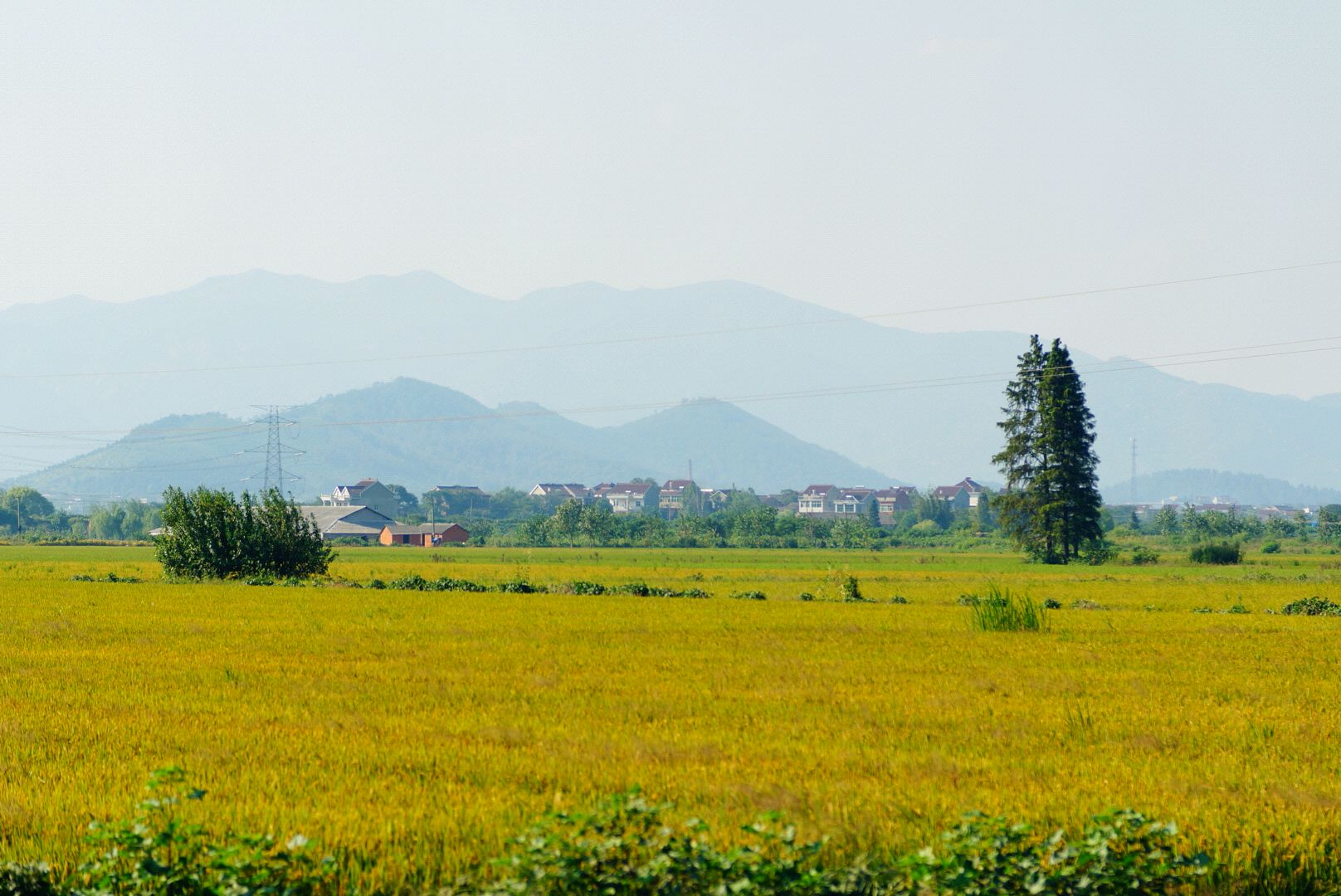 陳瑤湖鎮