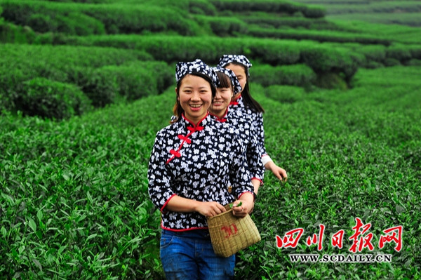 雙河鄉