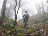 石林彝族自治縣老圭山