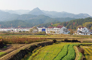 黃鋪村(安徽省安慶市潛山市黃鋪鎮黃鋪村)