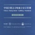 中國註冊會計師獨立審計準則(2003年經濟科學出版社出版的圖書)