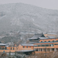 廣福寺(山東青州劈山廣福寺)