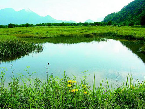 大九湖村