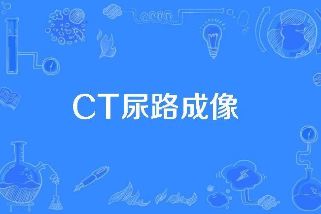 CT尿路成像