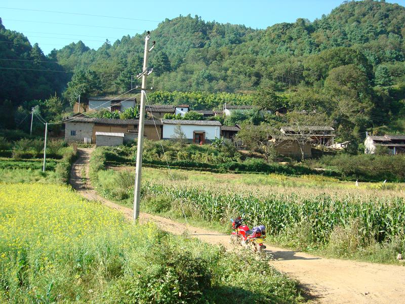 進村道路