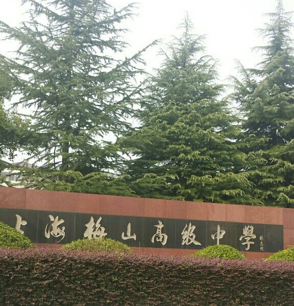 梅山中學(上海市梅山高級中學)