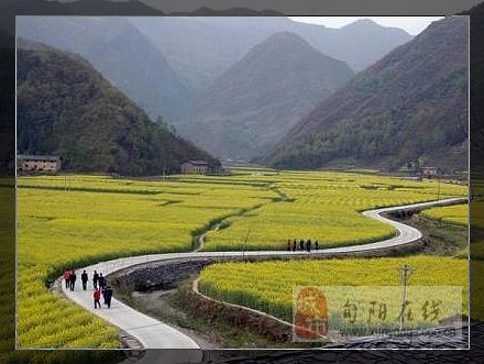 水泉坪村(陝西省安康市旬陽縣仁河口鄉下轄村)