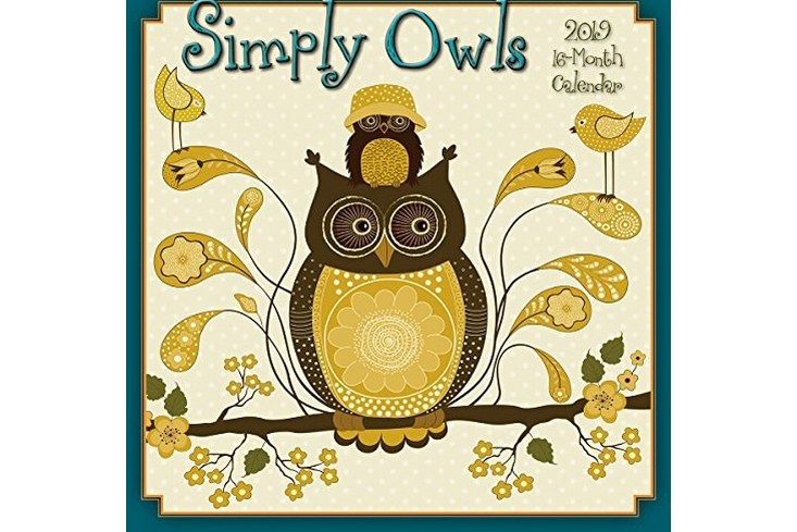 Simply Owls 2019 牆壁日曆，12 x 12,