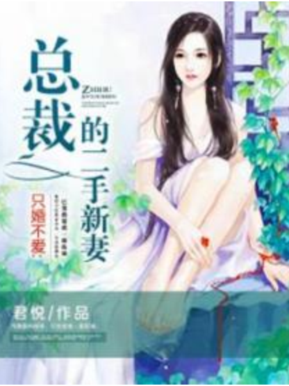 只婚不愛：總裁的二手新妻