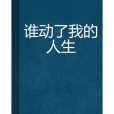 誰動了我的人生(紫葉海創作的網路小說)