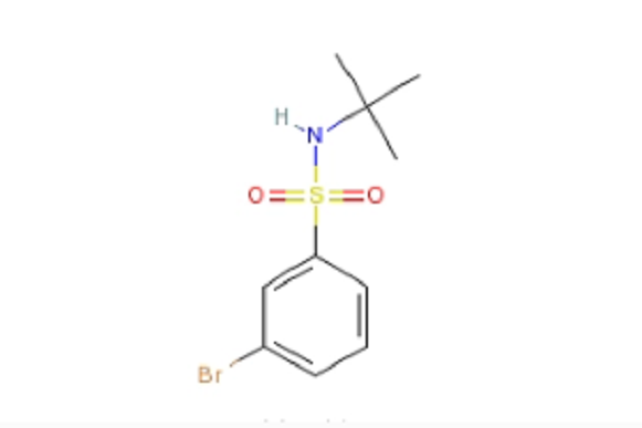 N-叔丁基-3-溴苯磺醯胺