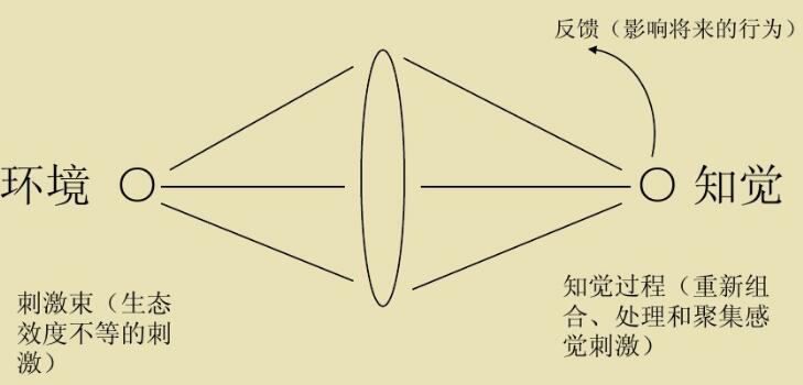 布倫斯威克透鏡模型