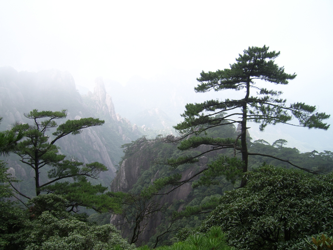 三清山峰林