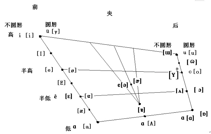 雙唇鼻音