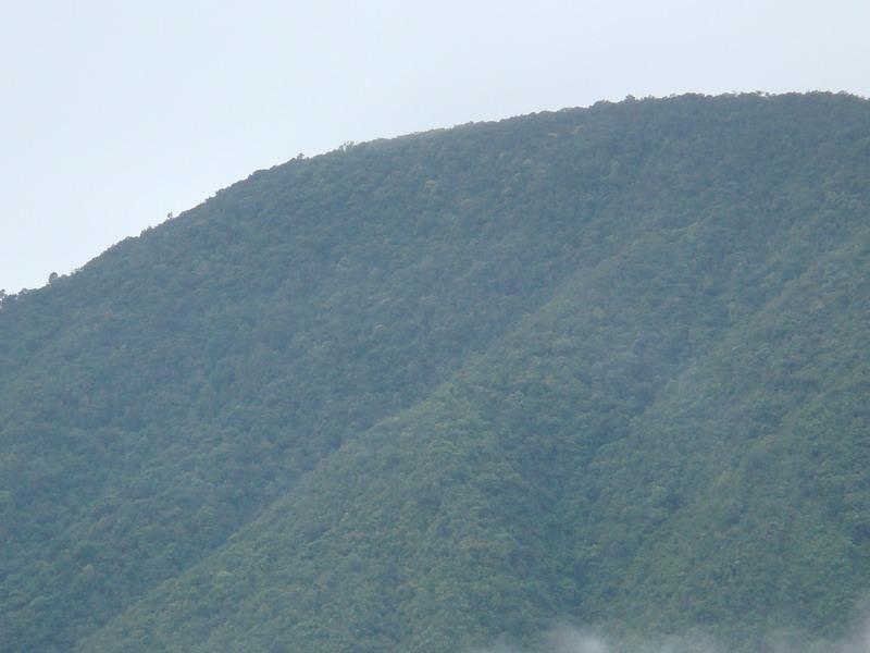 繆家山村