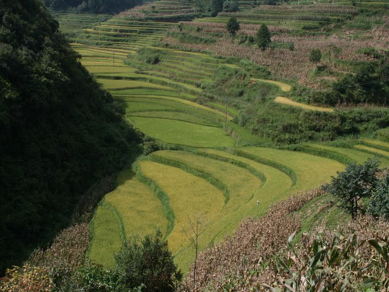 小倮寨村