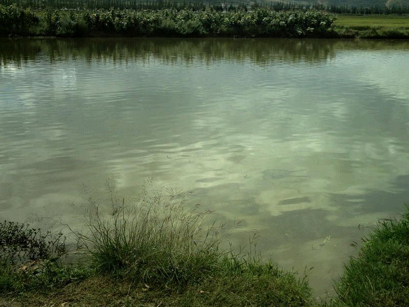 文甸自然村(雲南省普洱景谷縣永平鎮費竜村文甸自然村)