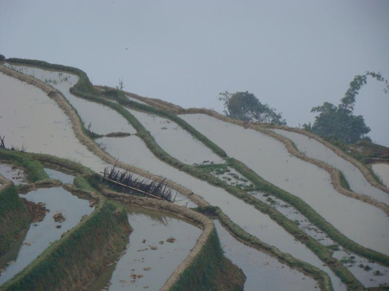 村中田園