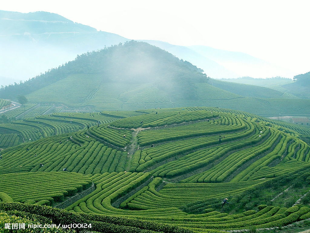 福泉山(上海福泉山)