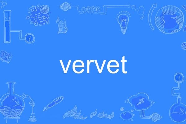 vervet