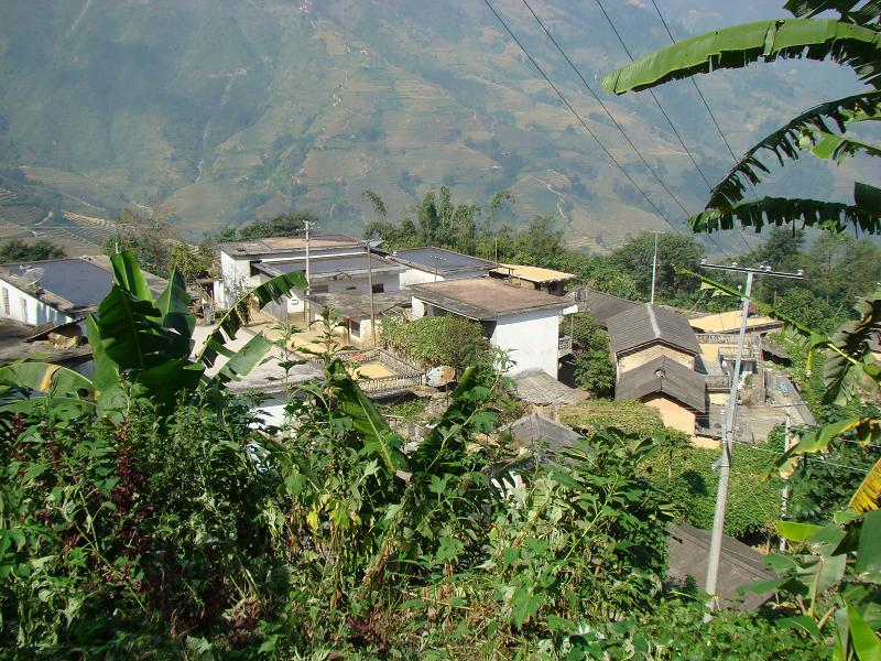 老金山村