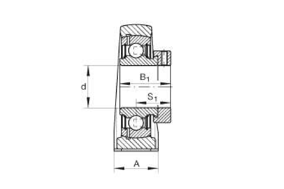 FAG PAK40軸承