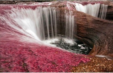 Cano Cristales