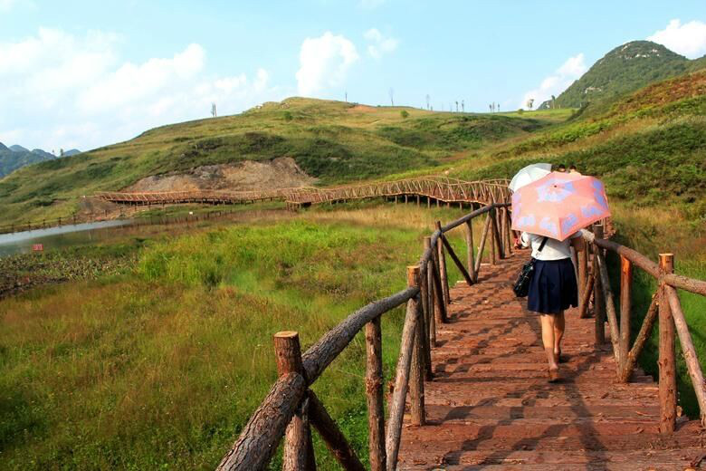 坪寨野雞坪濕地棧道