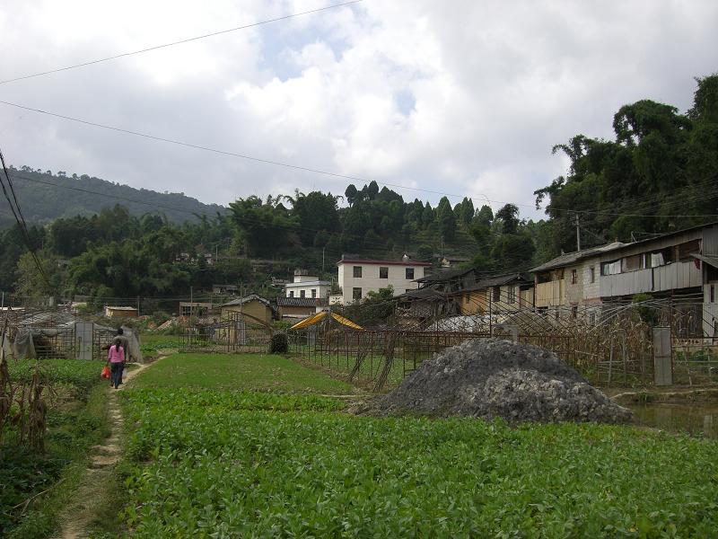 桑田村(雲南省墨江哈尼族自治縣下轄村)