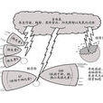 自由基(游離基)