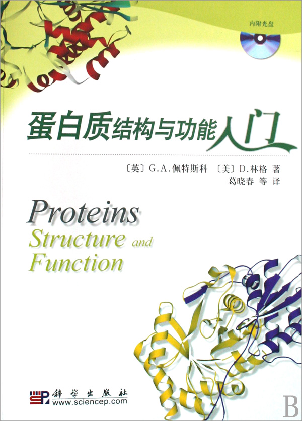 蛋白質結構與功能入門