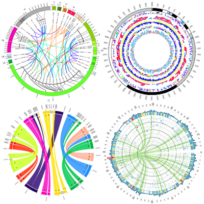 基因組可視化