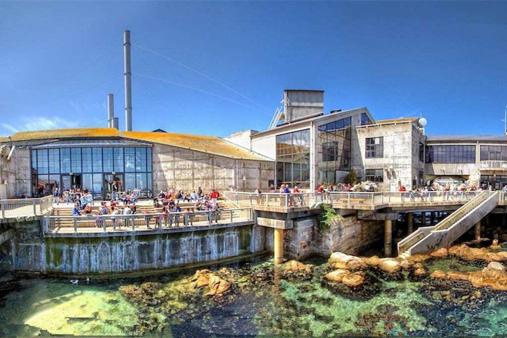 蒙特雷灣水族館