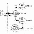 免疫網路學說