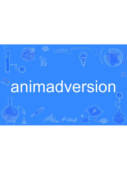 animadversion