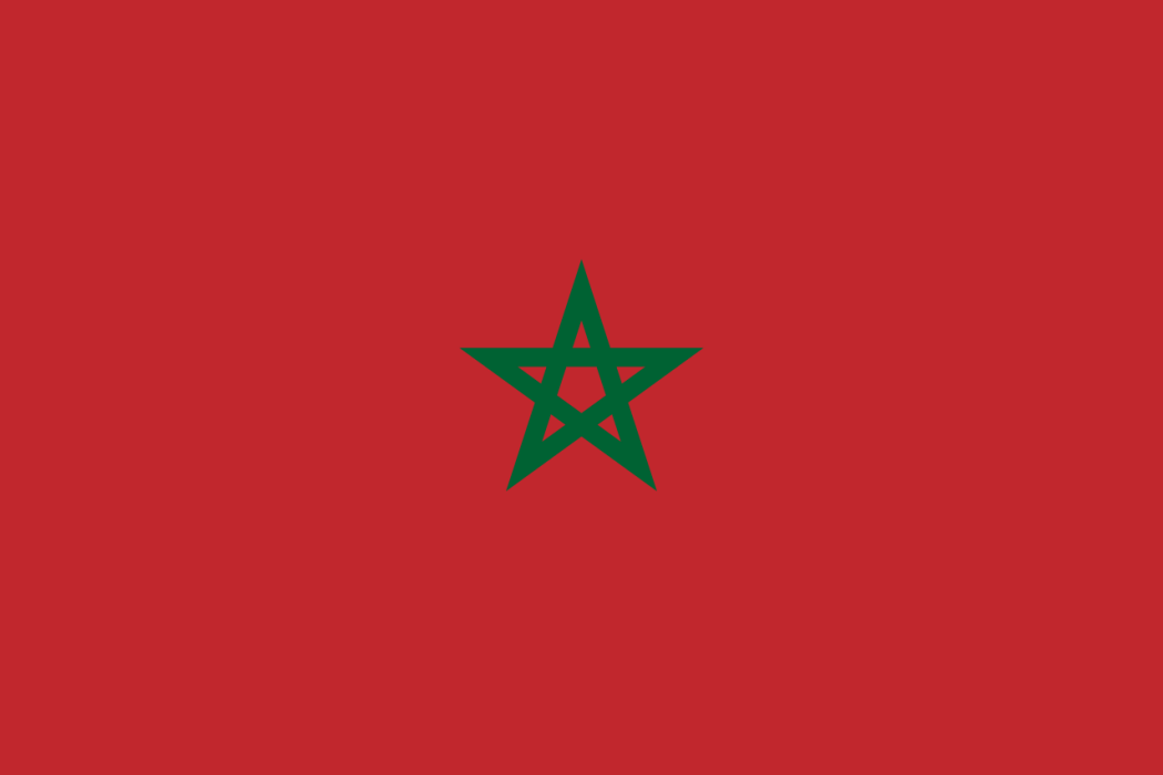 2020年東京奧運會摩洛哥體育代表團