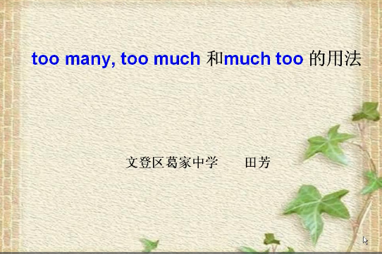 Unit 3 too many, too much和much too的用法